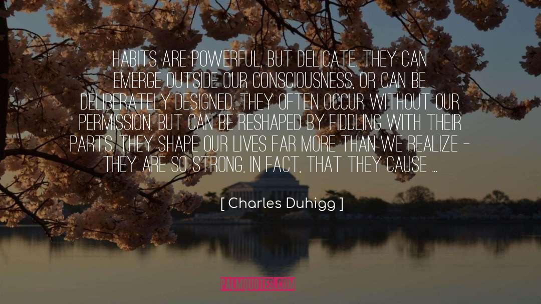 Fiddling quotes by Charles Duhigg