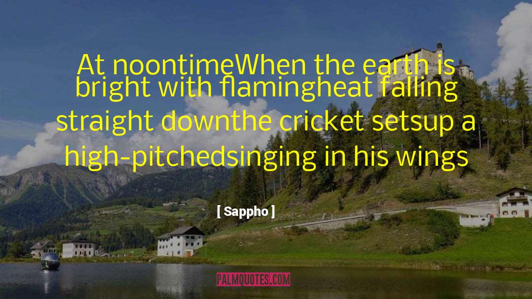 Fielding Cricket quotes by Sappho