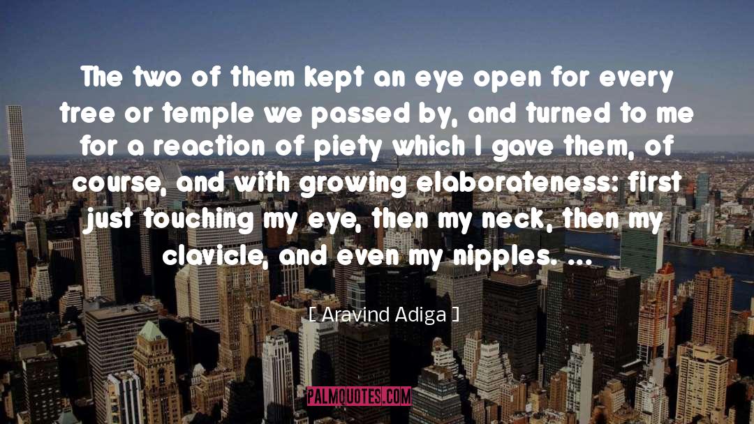 Fiely Piety quotes by Aravind Adiga