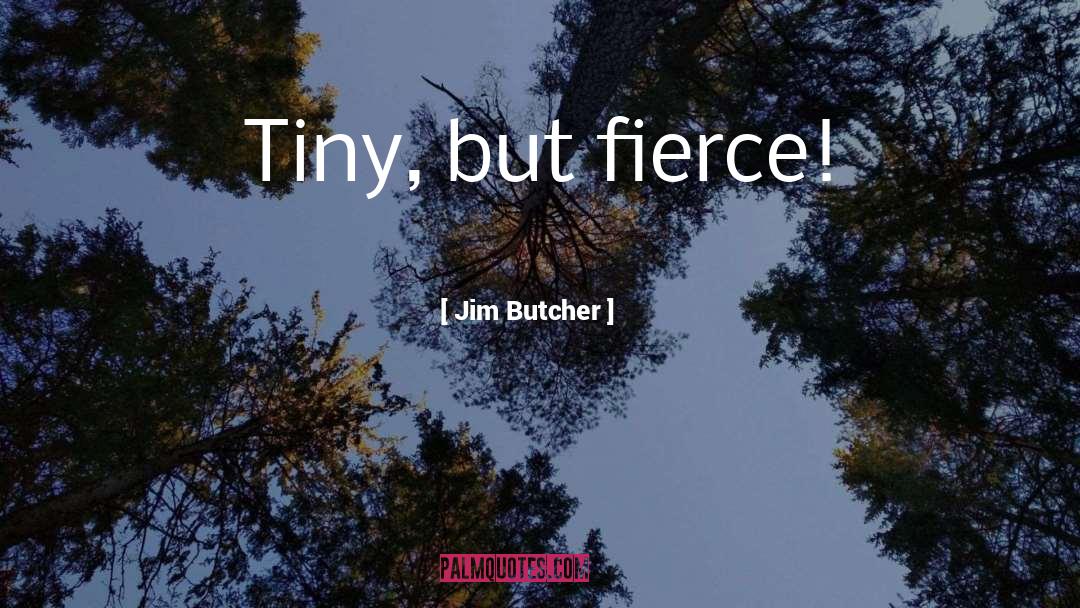 Fierce quotes by Jim Butcher