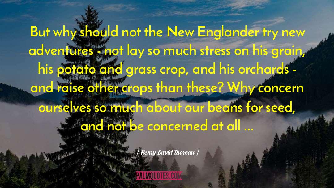 Fifer Orchards quotes by Henry David Thoreau