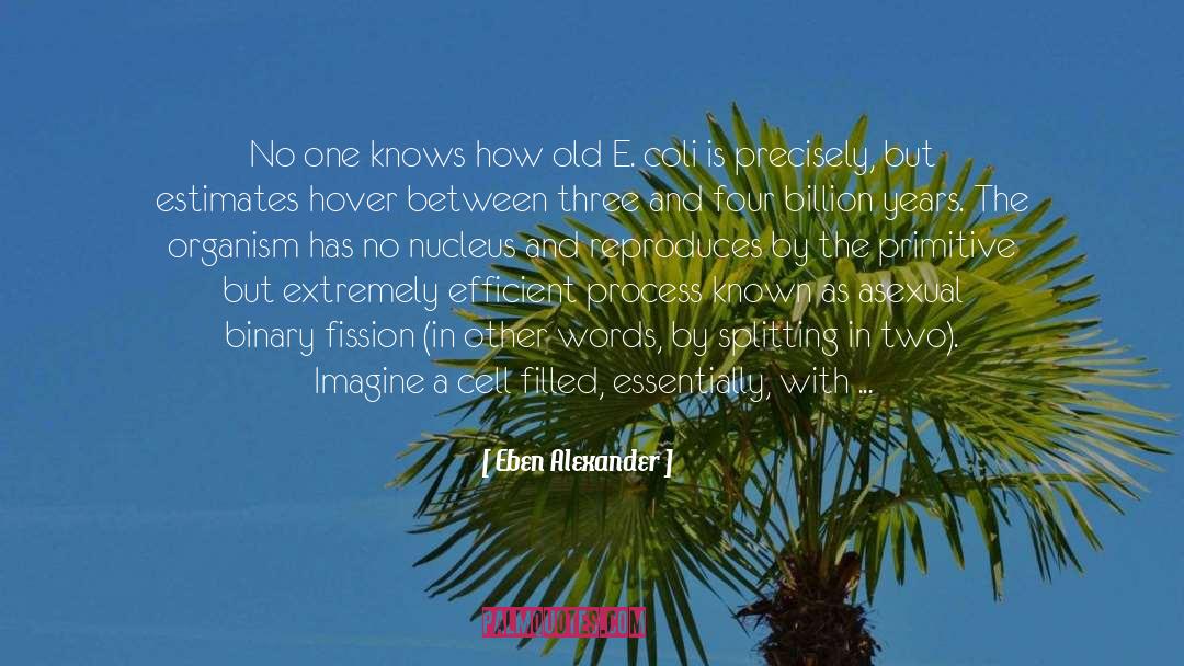 Fifteen Years Old quotes by Eben Alexander