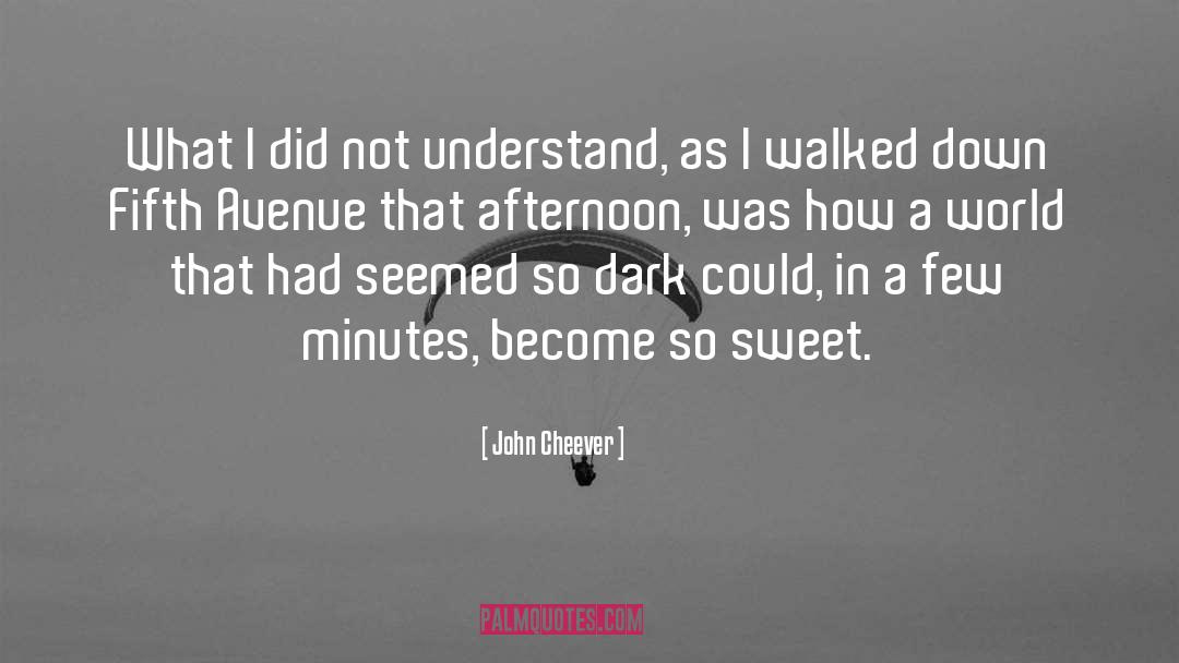 Fifth Avenue quotes by John Cheever