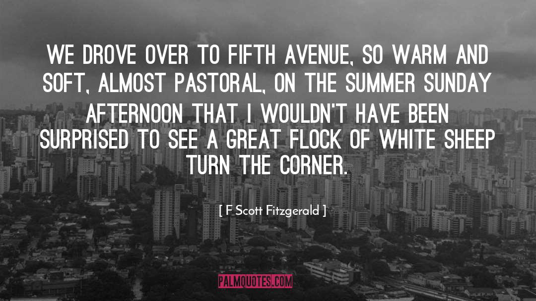 Fifth Avenue quotes by F Scott Fitzgerald