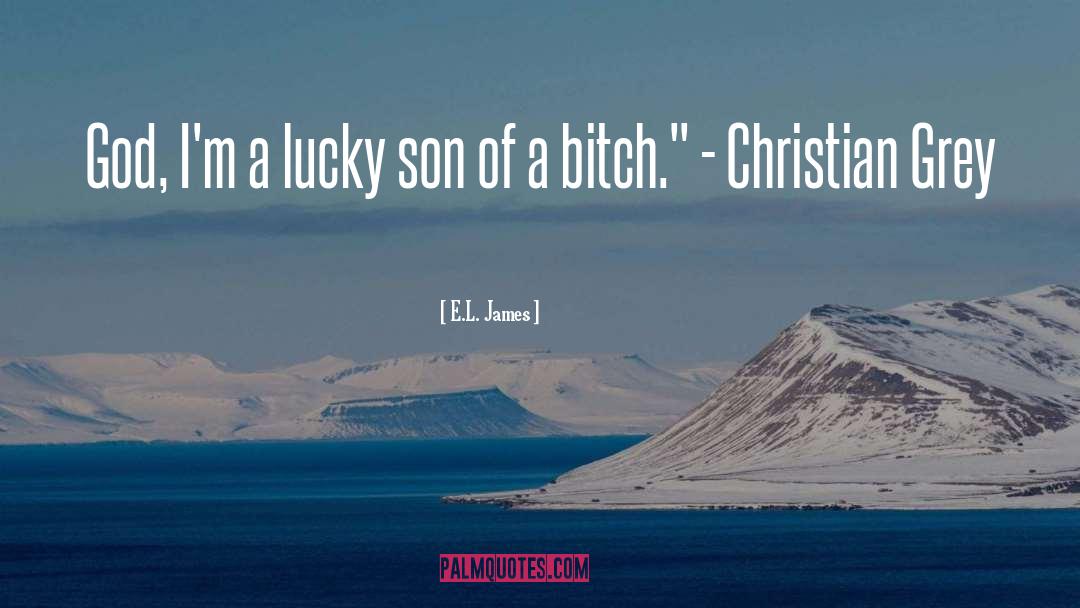 Fifty Shades Of Grey Humor quotes by E.L. James