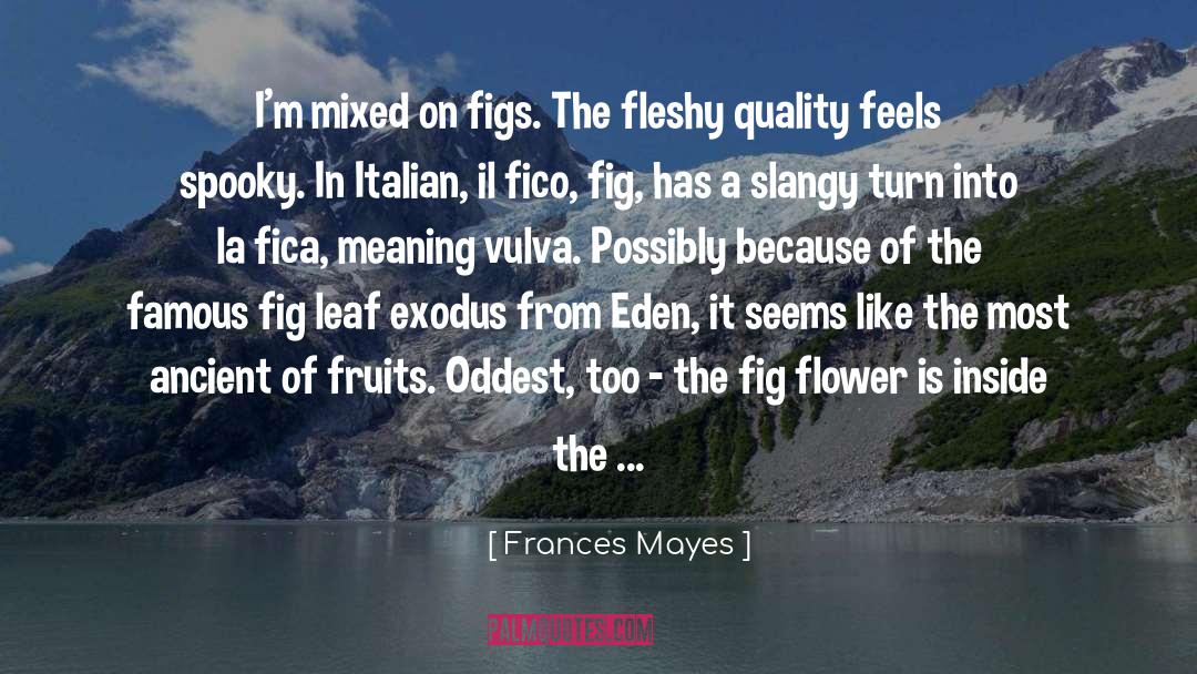 Fig quotes by Frances Mayes