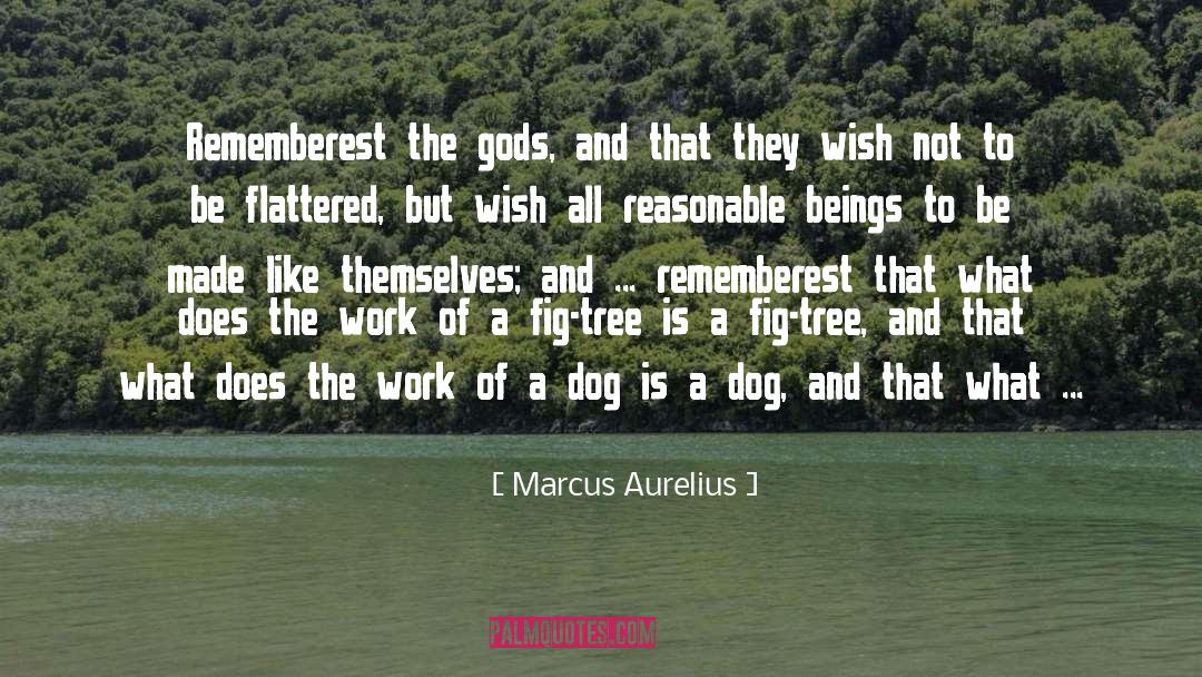 Fig quotes by Marcus Aurelius