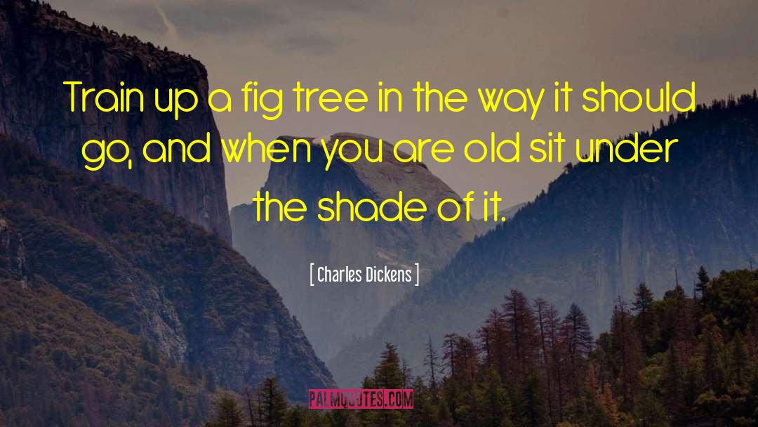 Fig Tree quotes by Charles Dickens