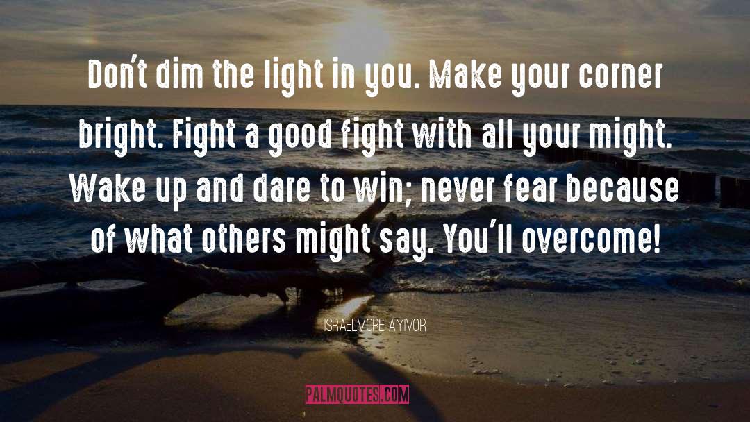 Fight A Good Fight quotes by Israelmore Ayivor