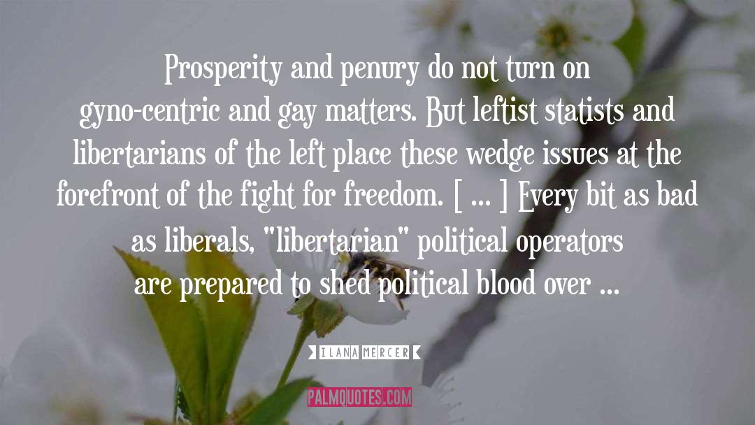 Fight For Freedom quotes by Ilana Mercer