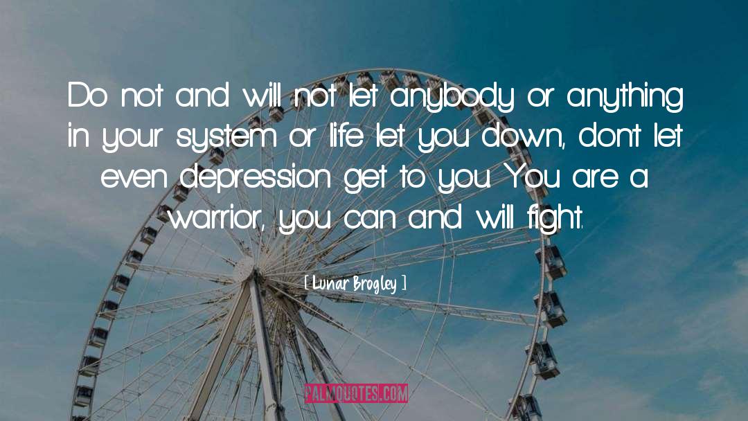 Fight System Accusation quotes by Lunar Brogley