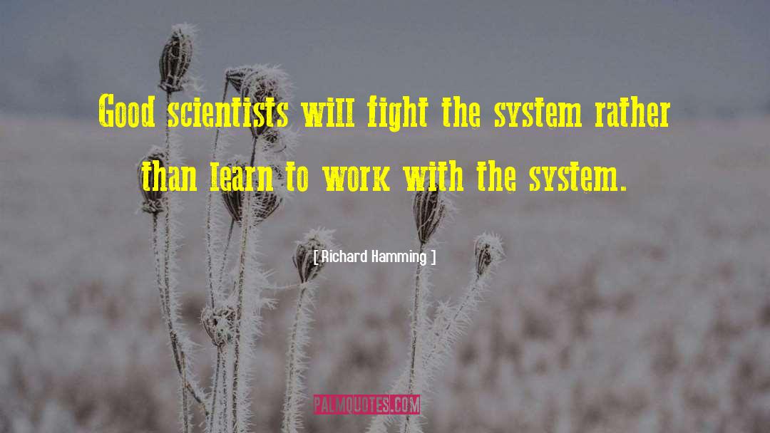 Fight System Accusation quotes by Richard Hamming