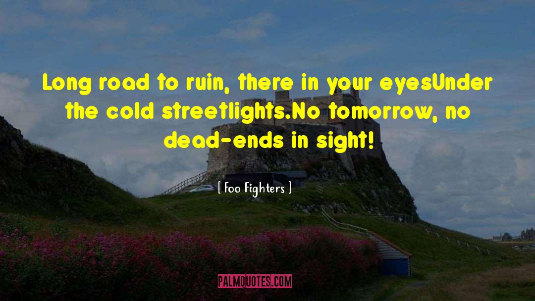 Fighters quotes by Foo Fighters