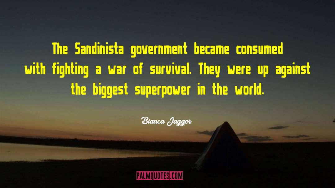 Fighting A War quotes by Bianca Jagger