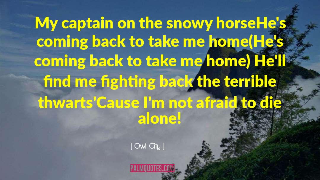 Fighting Back quotes by Owl City