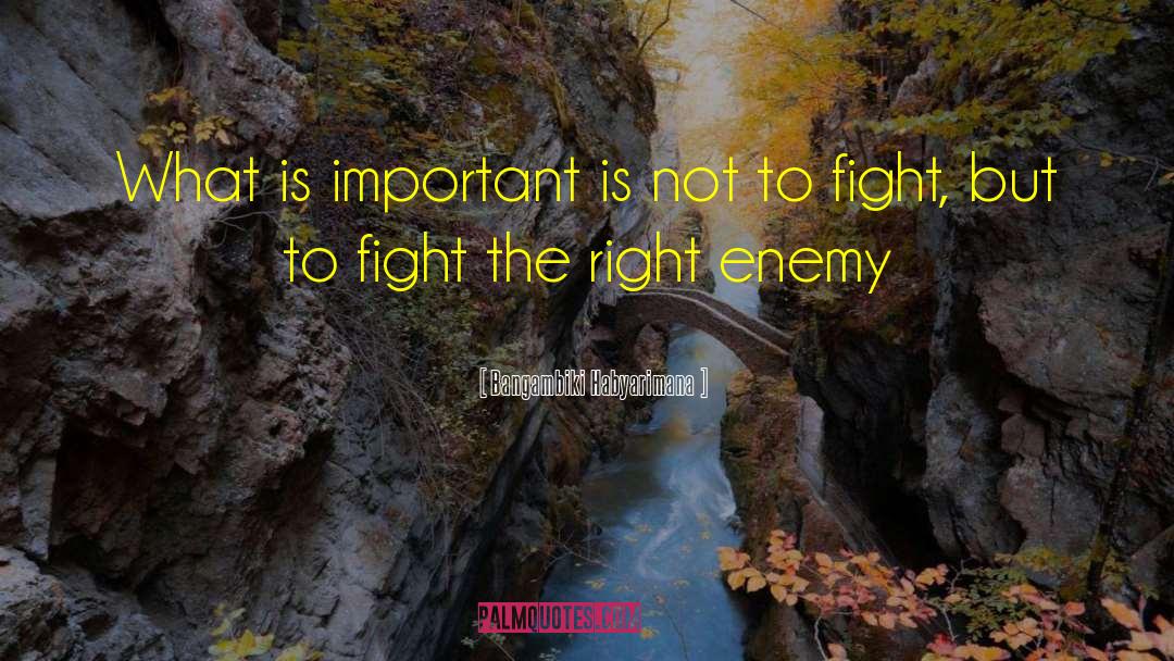 Fighting Back quotes by Bangambiki Habyarimana