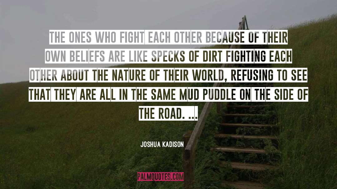 Fighting Each Other quotes by Joshua Kadison