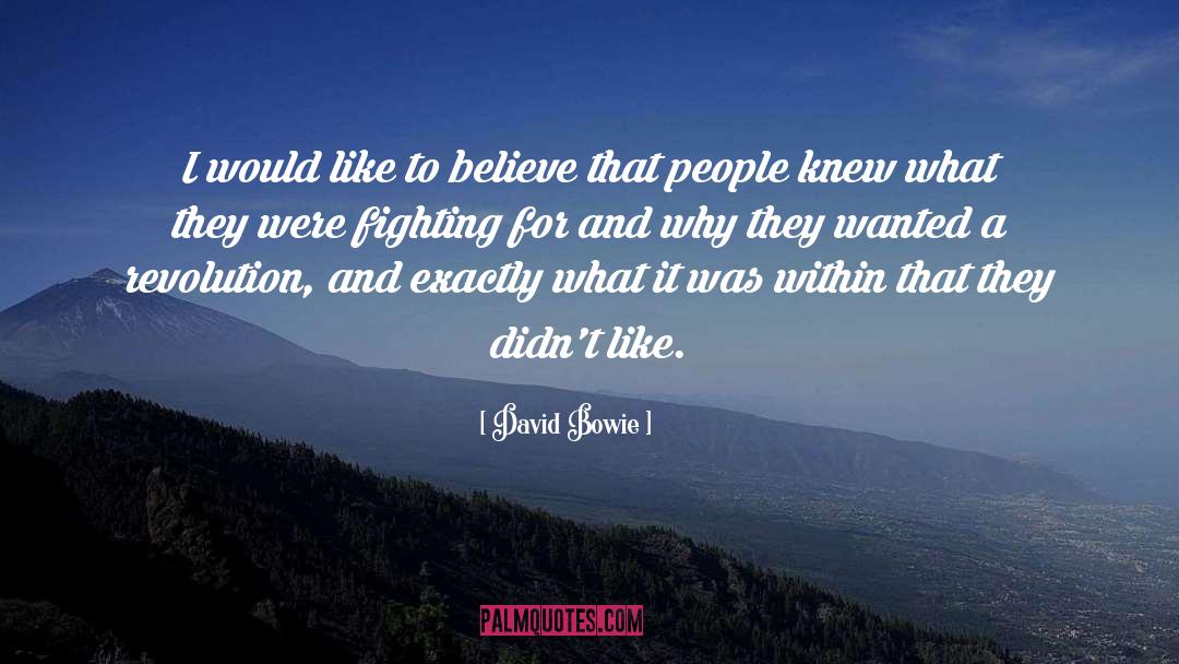 Fighting For quotes by David Bowie