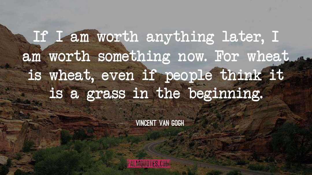 Fighting For Something Worth It quotes by Vincent Van Gogh