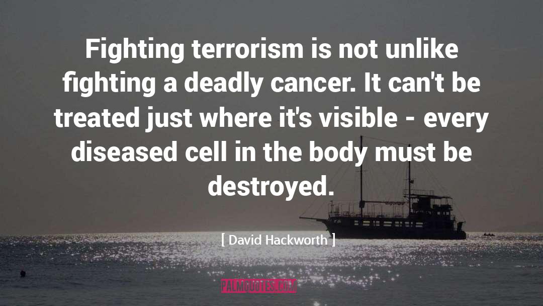 Fighting Terrorism quotes by David Hackworth