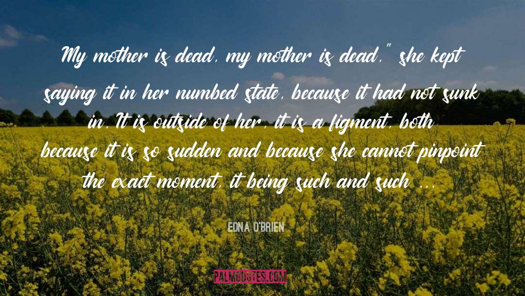 Figment quotes by Edna O'Brien
