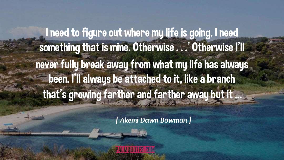 Figure Out quotes by Akemi Dawn Bowman
