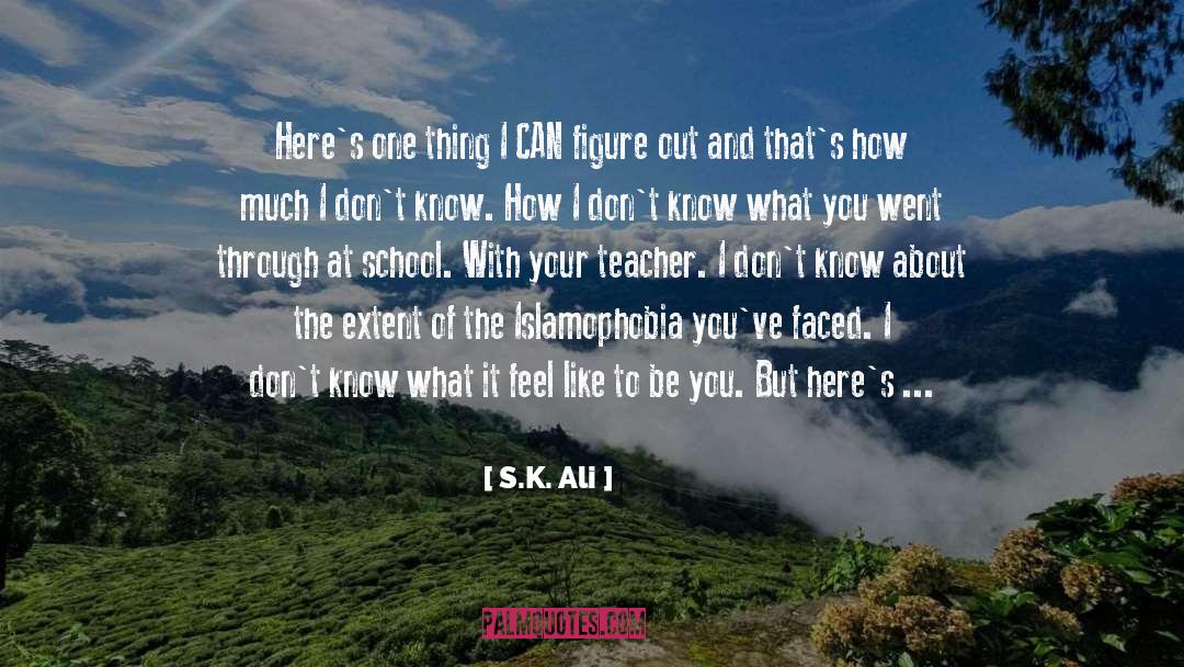 Figure quotes by S.K. Ali