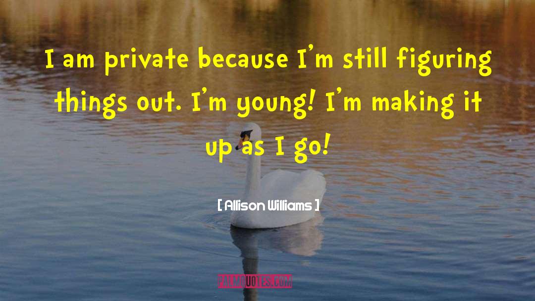 Figuring Things Out quotes by Allison Williams
