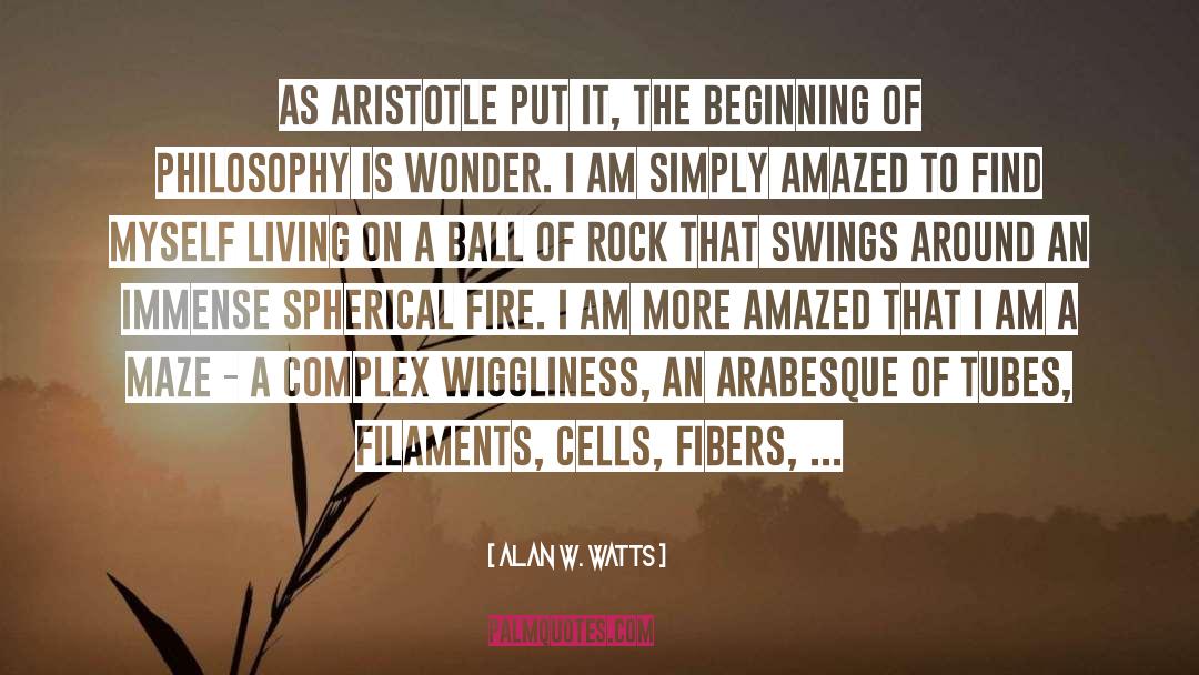 Filaments Myceliens quotes by Alan W. Watts
