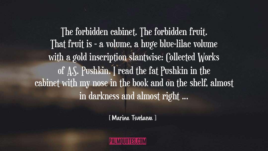 Filing Cabinet quotes by Marina Tsvetaeva