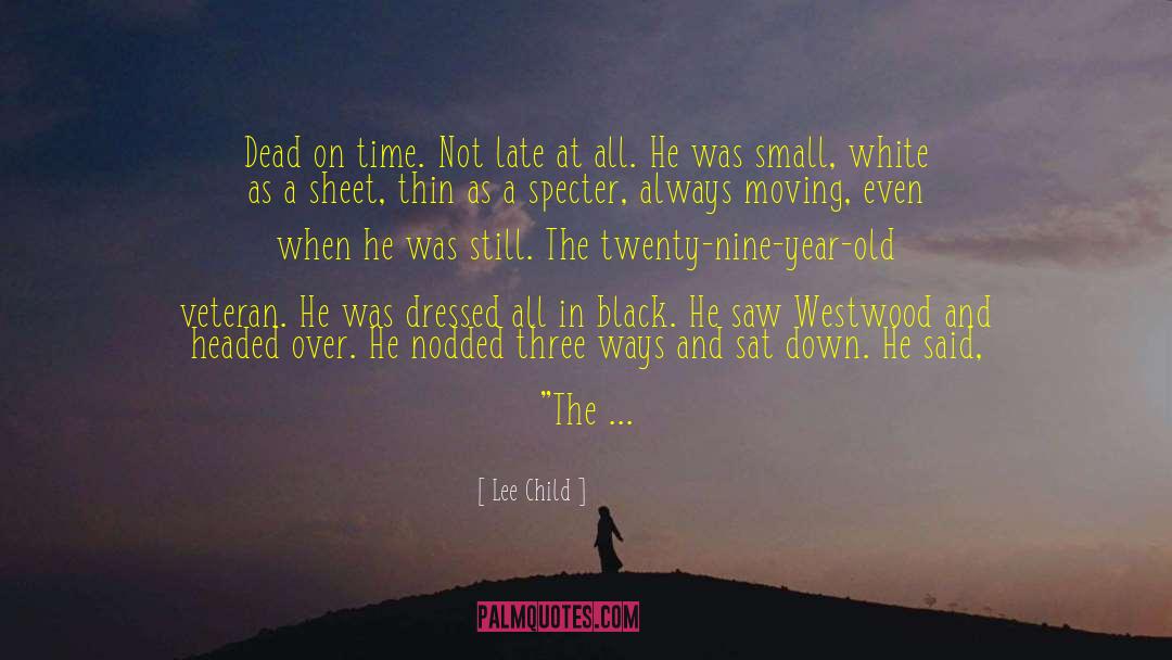 Fill The Void quotes by Lee Child