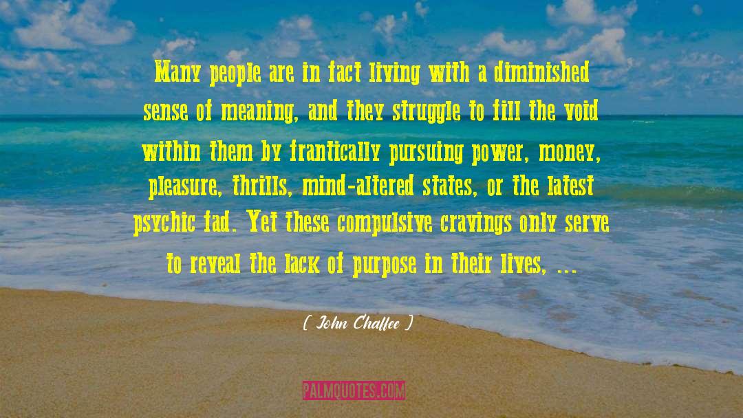 Fill The Void quotes by John Chaffee