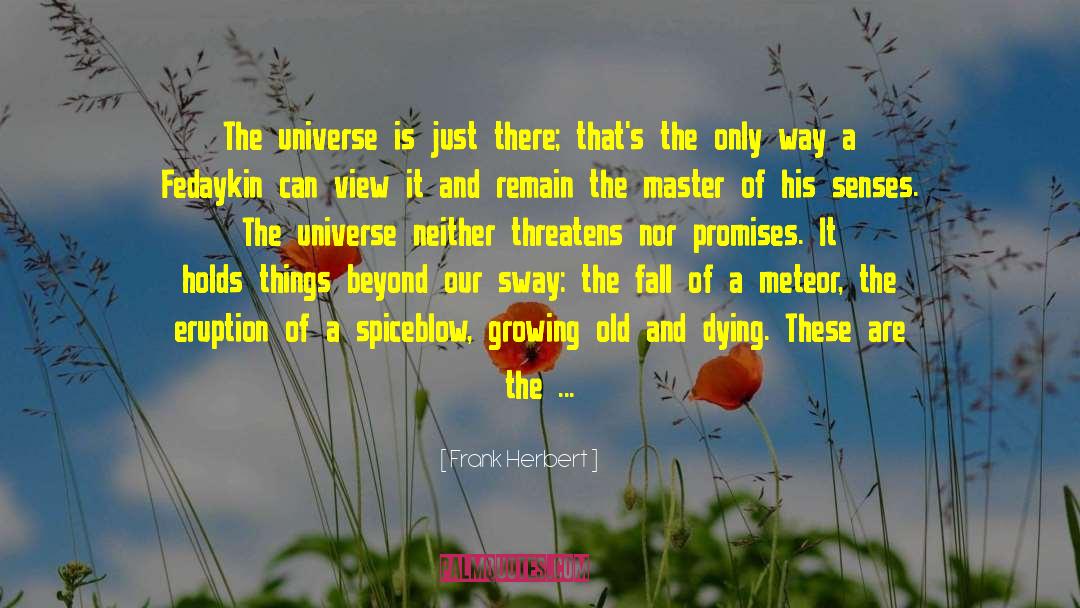 Fill This Universe With Joy quotes by Frank Herbert