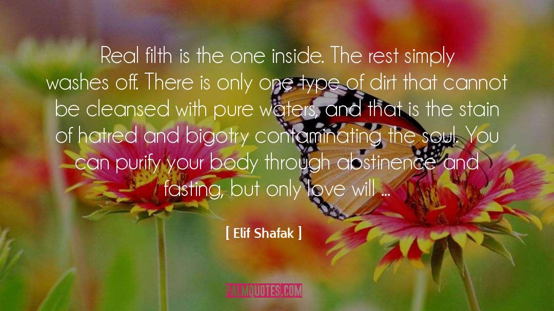 Fill Your Heart With Love quotes by Elif Shafak