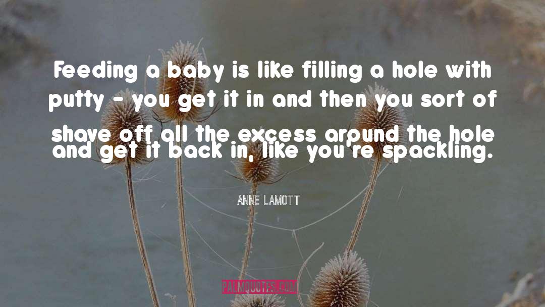 Filling A Hole quotes by Anne Lamott