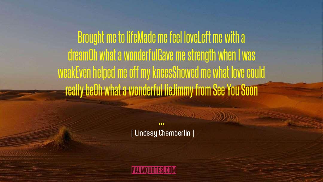 Filling My Life quotes by Lindsay Chamberlin