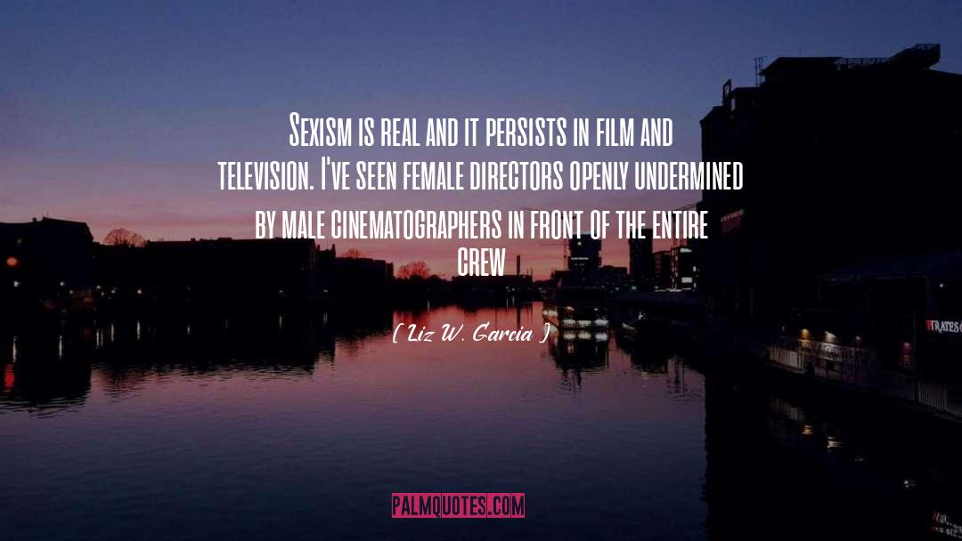 Film And Television quotes by Liz W. Garcia