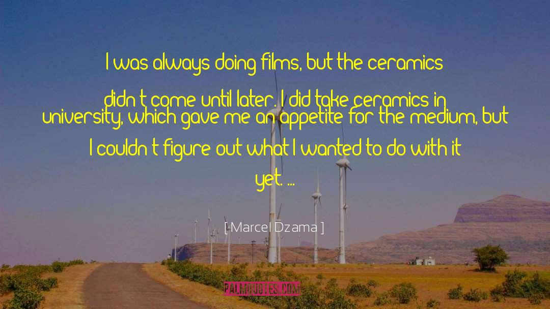 Film Festival quotes by Marcel Dzama