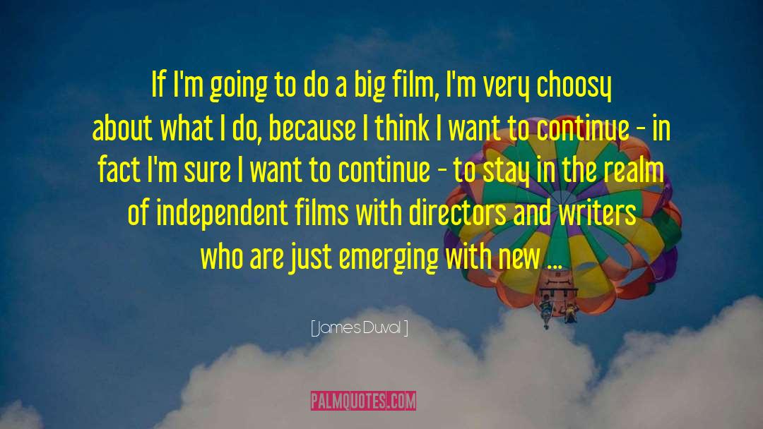 Film Festivals quotes by James Duval