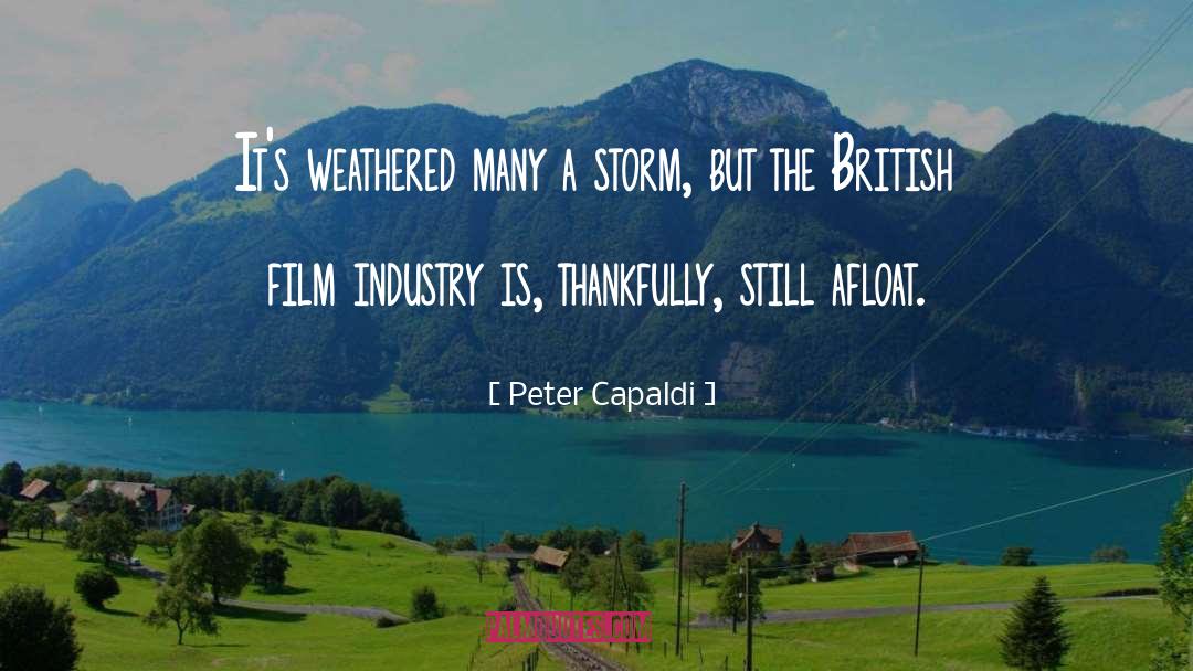 Film Industry quotes by Peter Capaldi