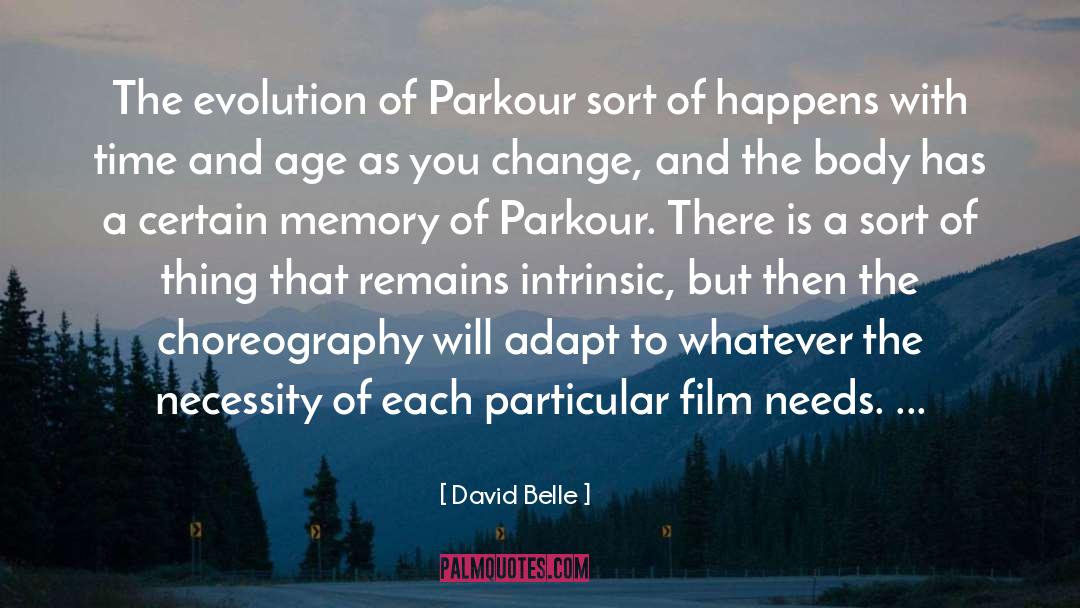 Film Noir quotes by David Belle