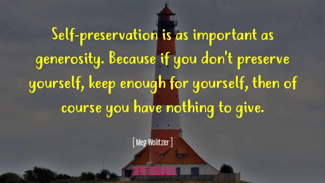 Film Preservation quotes by Meg Wolitzer