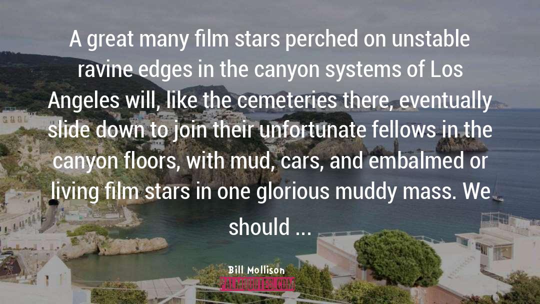 Film Stars quotes by Bill Mollison