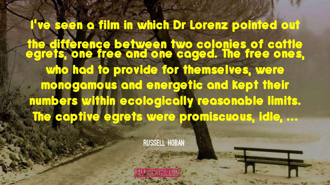 Film Theory quotes by Russell Hoban