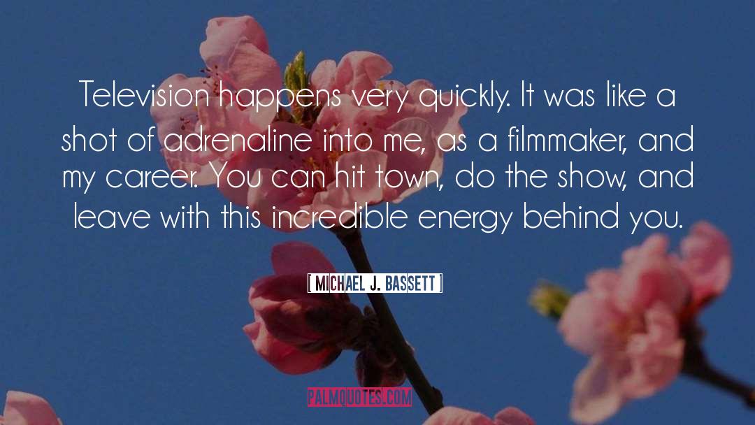 Filmmaker quotes by Michael J. Bassett