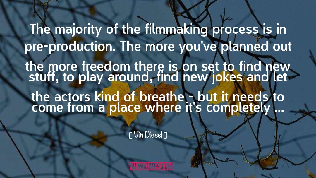 Filmmaking quotes by Vin Diesel