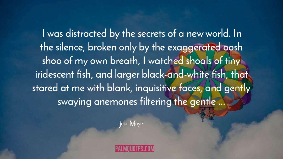 Filtering quotes by Jojo Moyes