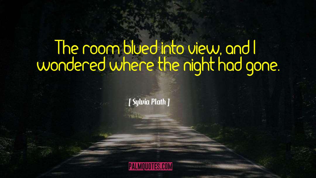 Filthy Room quotes by Sylvia Plath
