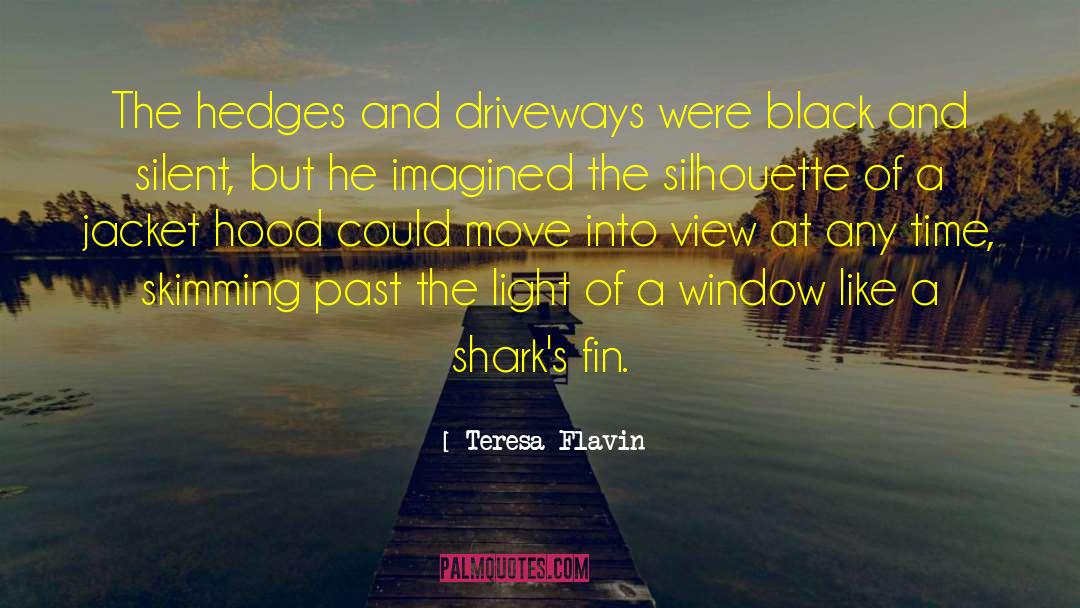 Fin quotes by Teresa Flavin
