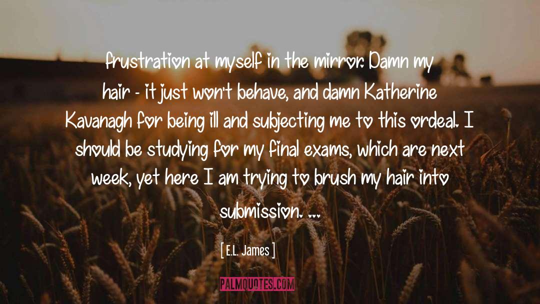 Final Exams quotes by E.L. James